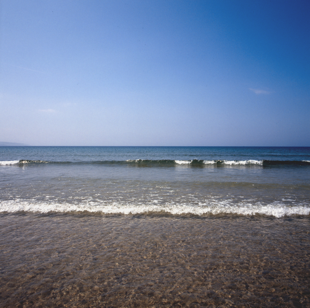 Northern Horizon